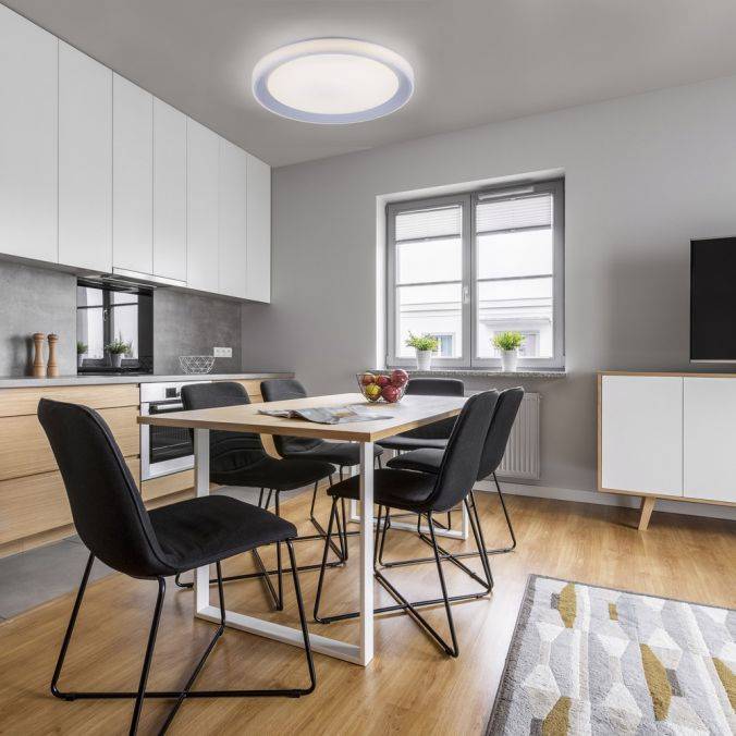 Paul Neuhaus LED Deckenleuchte, silber, Ø 51cm, RGB, CCT, Memory-Funktion Super Sparpreis