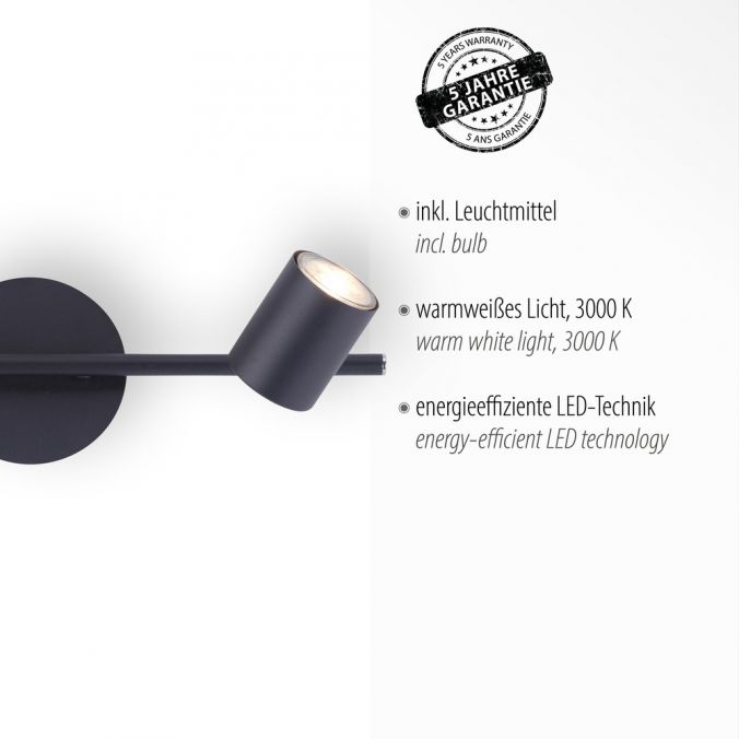 Paul Neuhaus LED Deckenleuchte, anthrazit, 2 Flammig, schwenkbare Leuchtspots Letzte 2 Tage