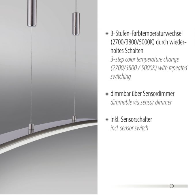 Paul Neuhaus LED Pendelleuchte, stahlfarben, CCT, 100cm lang, dimmbar Super Rabatt