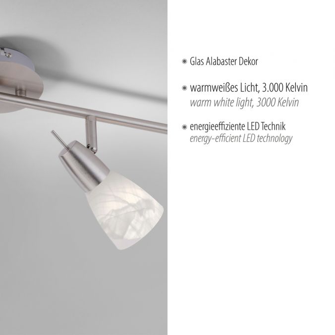 Paul Neuhaus LED-Deckenleuchte, stahlfarben, warmweiße Lichtfarbe, 4 flammig, modern Verkauf