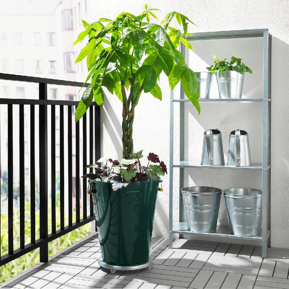 IKEA PACHIRA AQUATICA Pflanze Glückskastanie 27 cm Nur noch ein Tag übrig