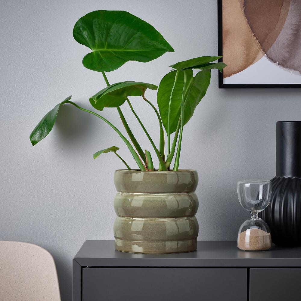 IKEA HASSELBUKETT Übertopf drinnen/draußen/grün/braun 15 cm Fabrik Onlineshop