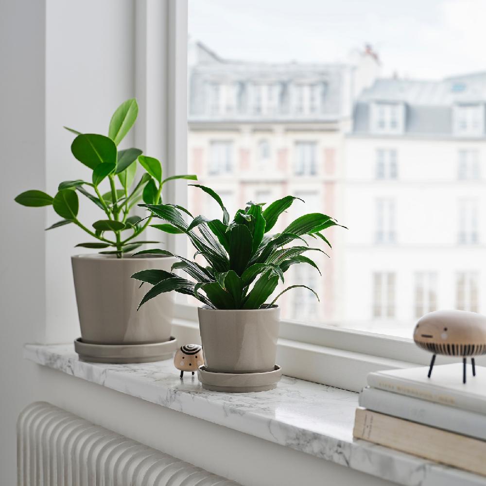 IKEA KLOTLÖNN Blumentopf mit Untersetzer drinnen/draußen/grau/beige 15 cm Günstig kaufen