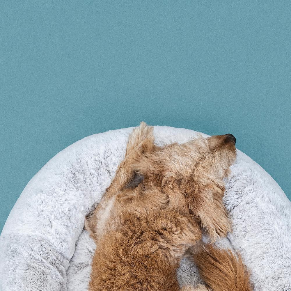 IKEA UTSÅDD Tierbett hellgrau M Versandkostenfrei