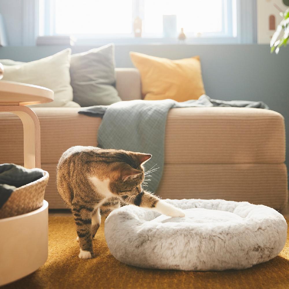 IKEA UTSÅDD Tierbett hellgrau S Begrenztes Angebot