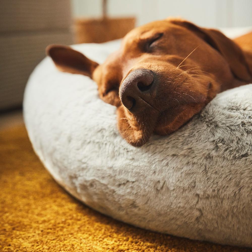 IKEA UTSÅDD Tierbett hellgrau XL Saisonschlussverkauf