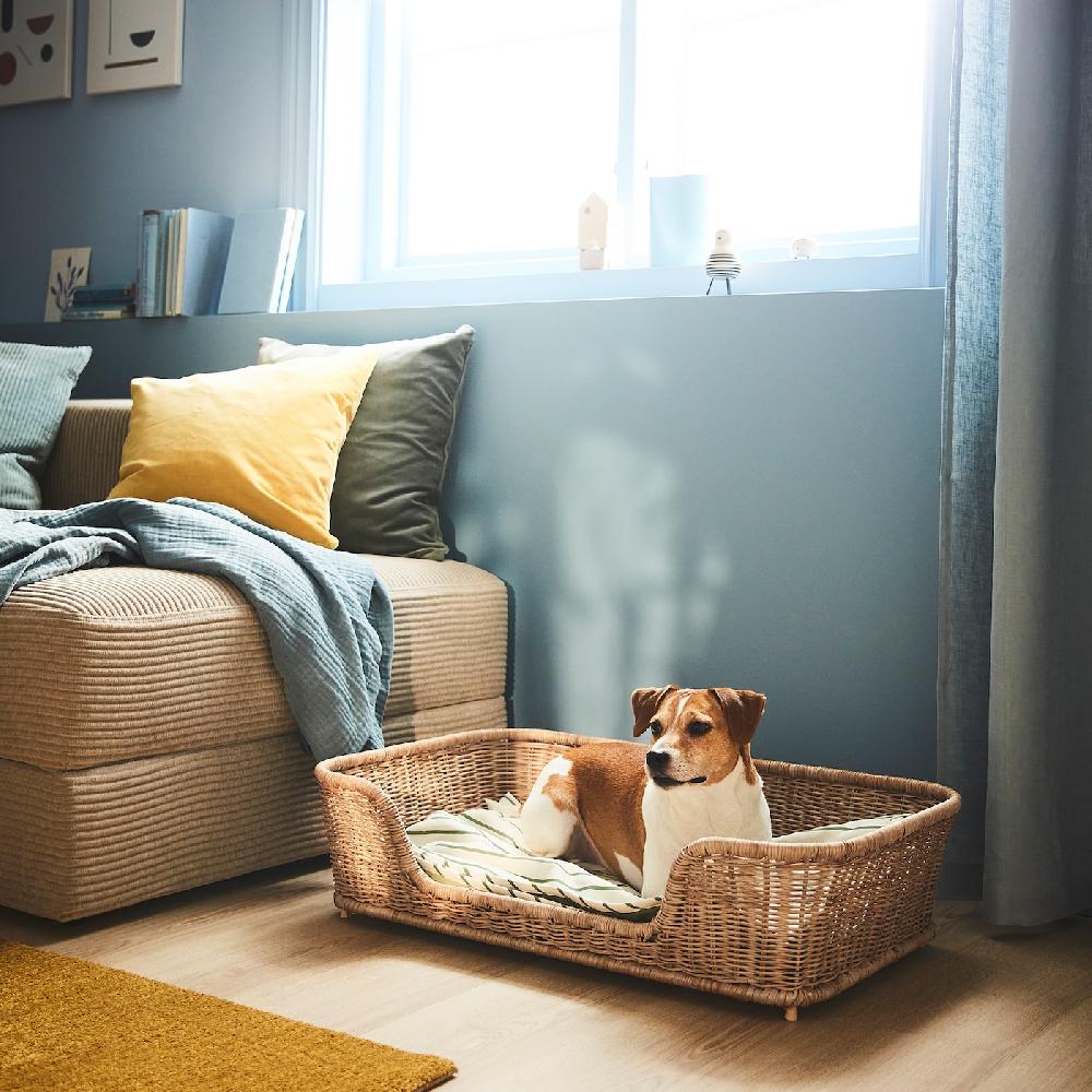 IKEA UTSÅDD Hundebett Rattan 80x50x20 cm Vatertagsangebot