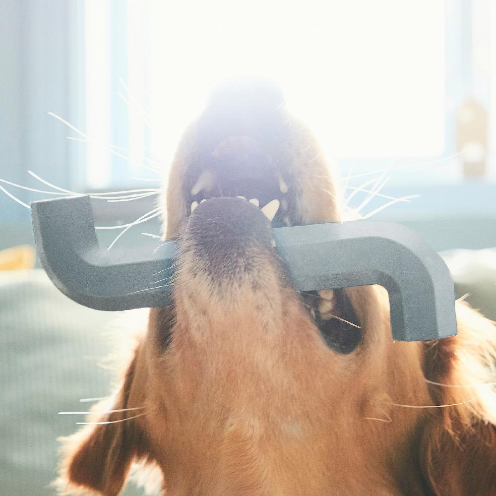 IKEA UTSÅDD Hundespielzeug graublau Valentinstagsangebot