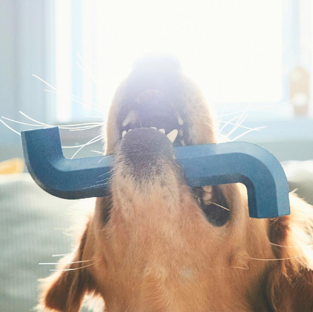 IKEA UTSÅDD Hundespielzeug dunkelblau Online Outlet