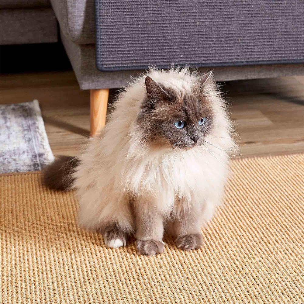 wohndirekt Katzenkratzmatte Natur CANCUN in 5 Größen Meist gekauft